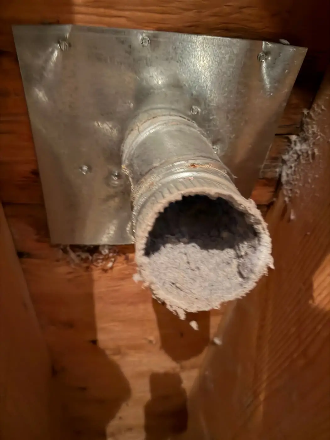 A dryer duct coming down through wood framing, its end packed with lint.