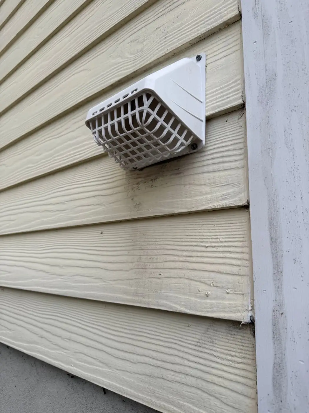 A white dryer vent hood with a wire guard on light gray siding.